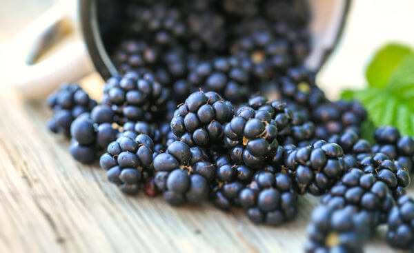 blackberries-600x367