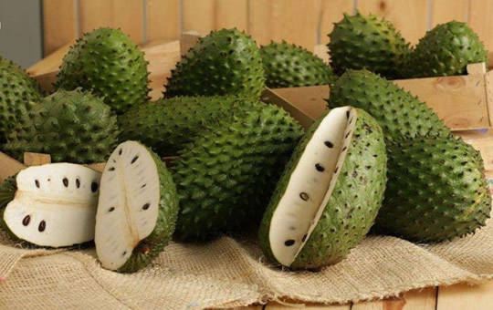 soursop